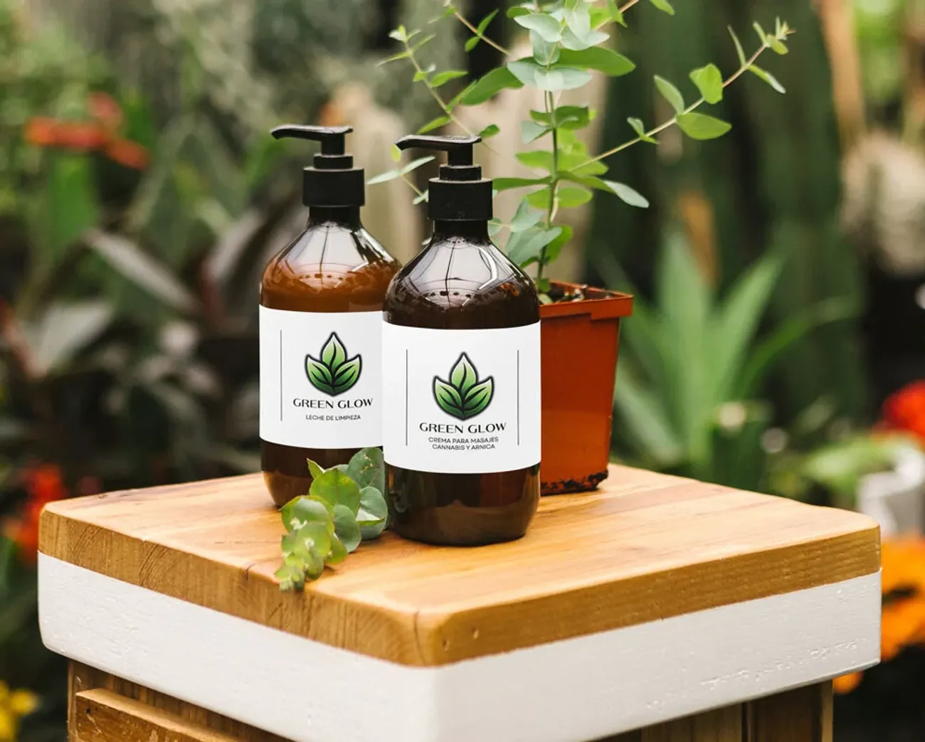 Equipo Green Glow - Sobre nosotros